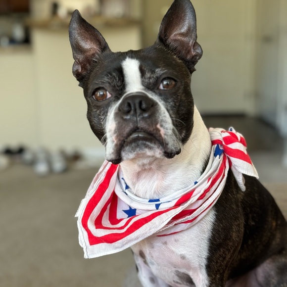 Meet your Posher, Alyssa - Picture 4 of 5